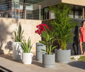 Ripple Planters